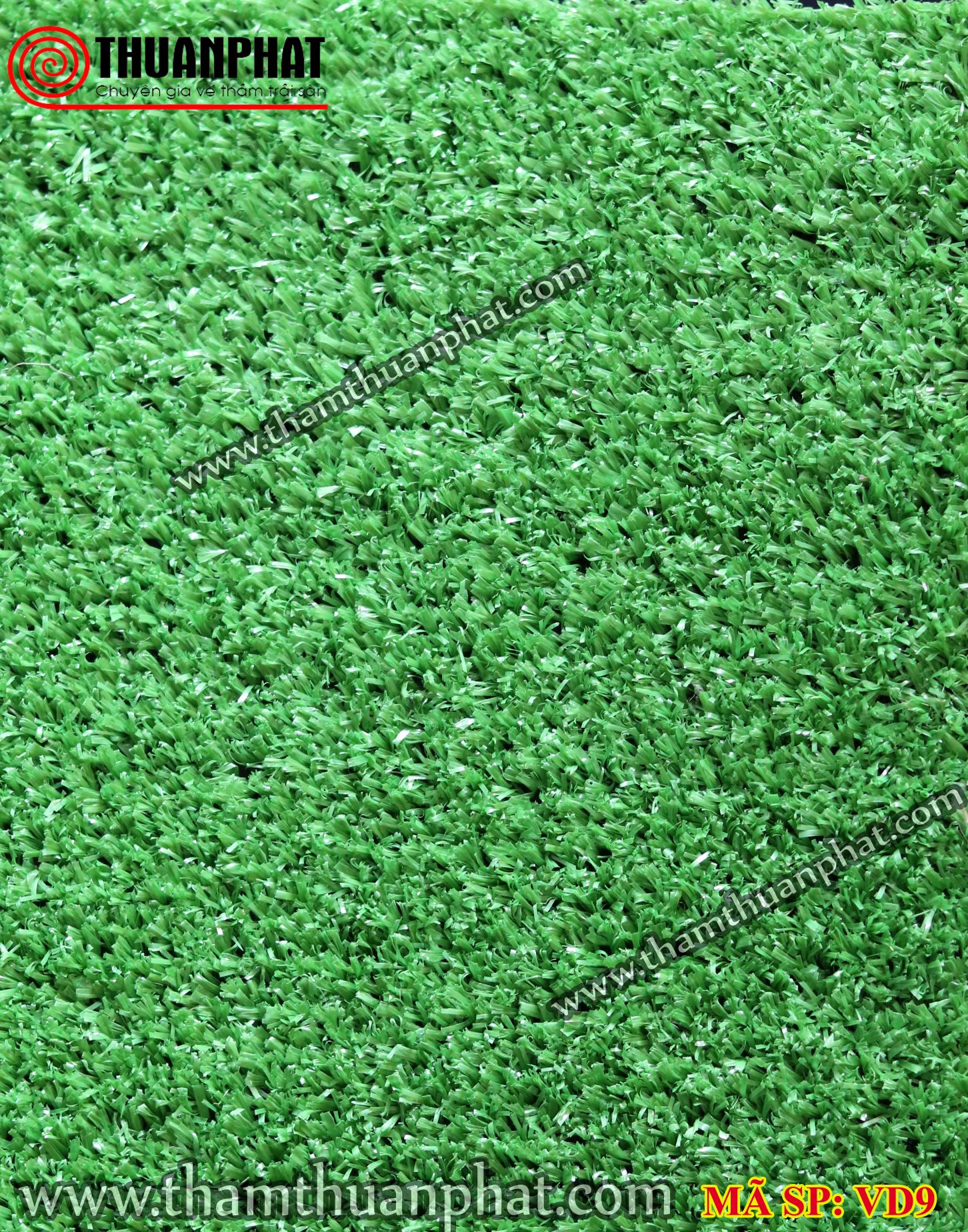 Thảm cỏ nhân tạo VD9
